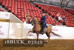 18BUCK_03249 proof