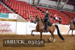 18BUCK_03250 proof