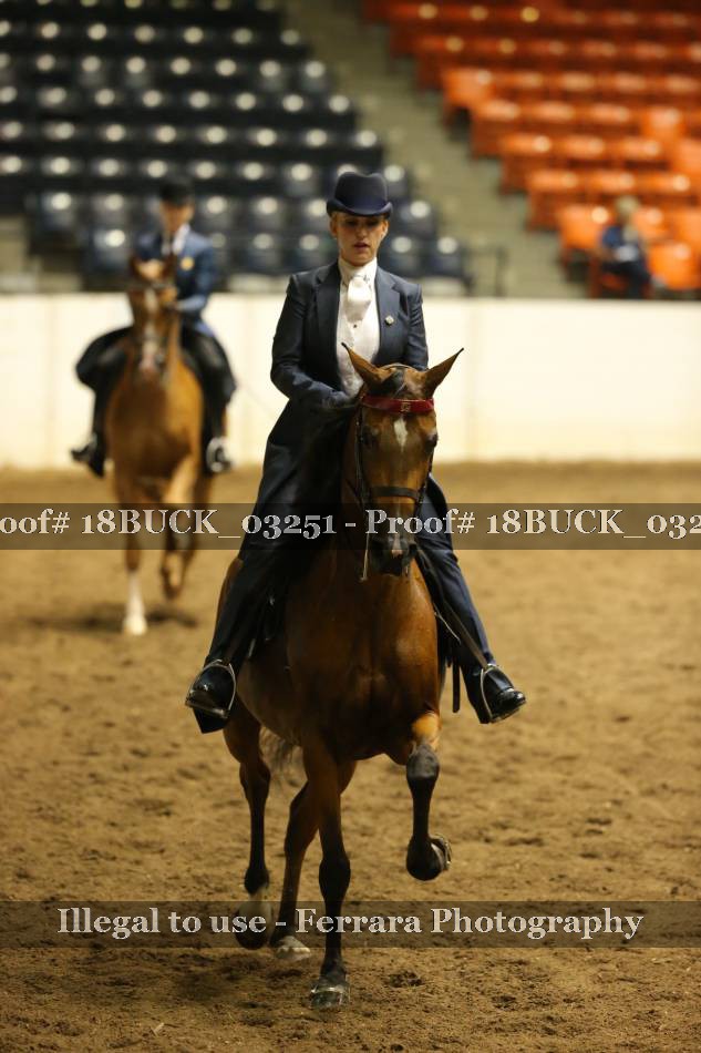 Proof 18BUCK_03251