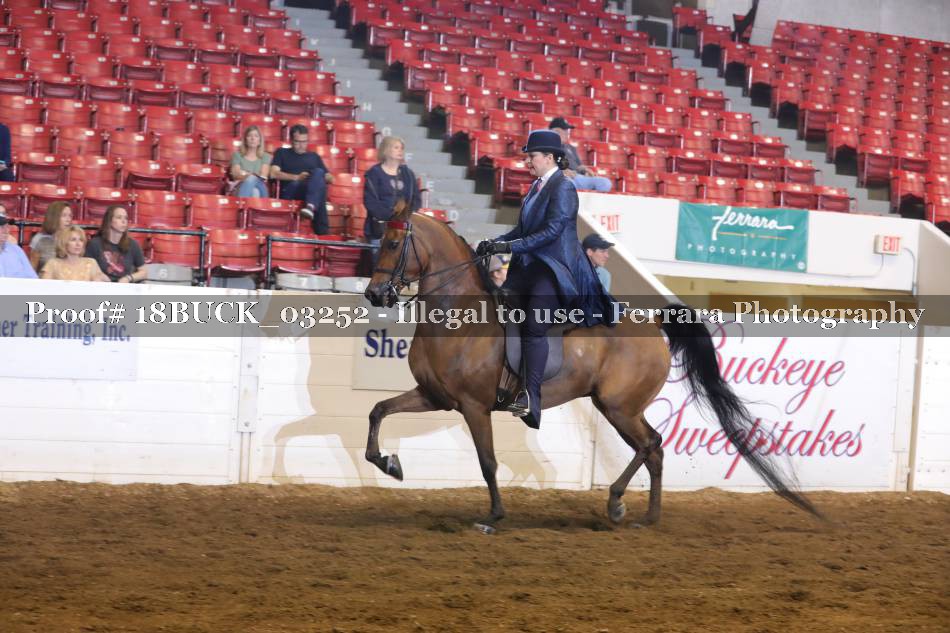 Proof 18BUCK_03252