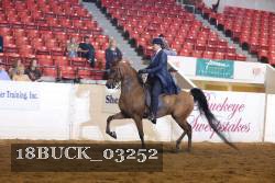 18BUCK_03252 proof