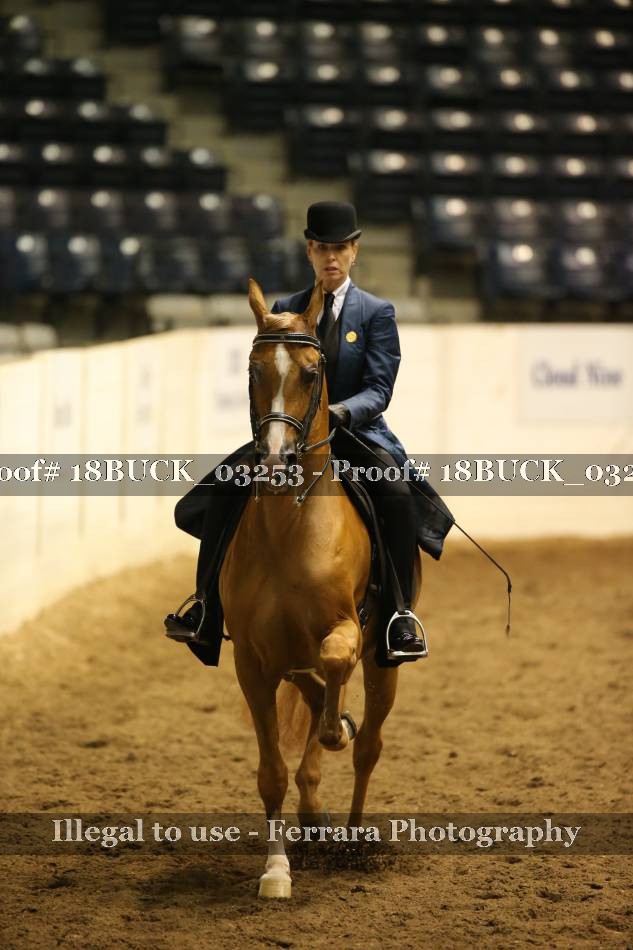 Proof 18BUCK_03253