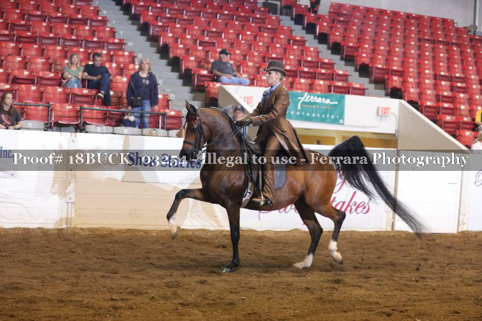 Proof 18BUCK_03254