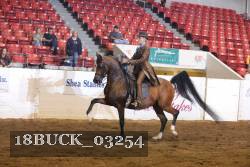 18BUCK_03254 proof