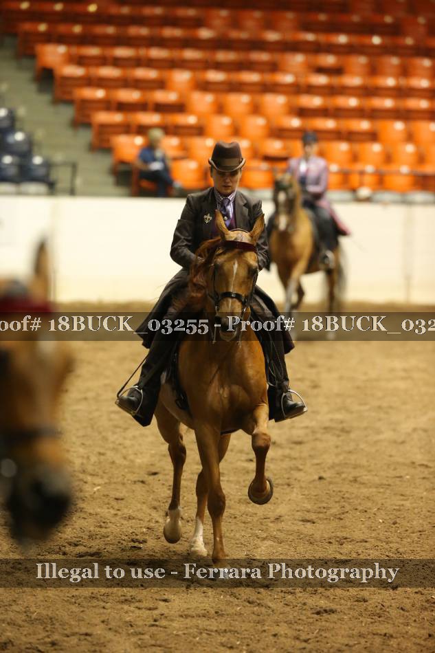 Proof 18BUCK_03255