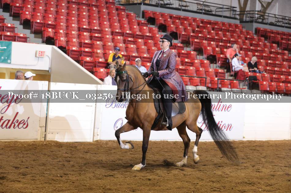 Proof 18BUCK_03256
