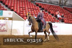 18BUCK_03256 proof