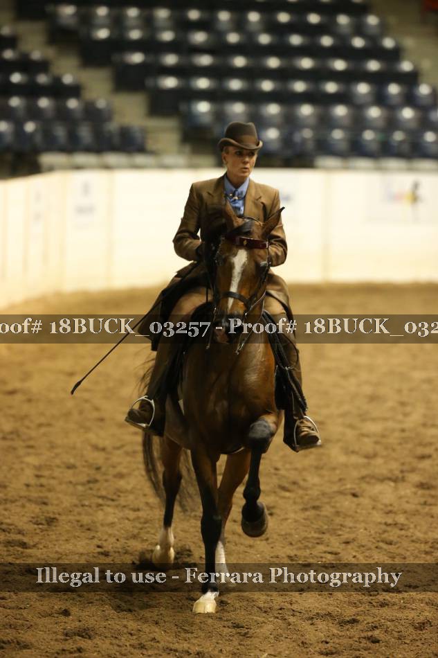 Proof 18BUCK_03257