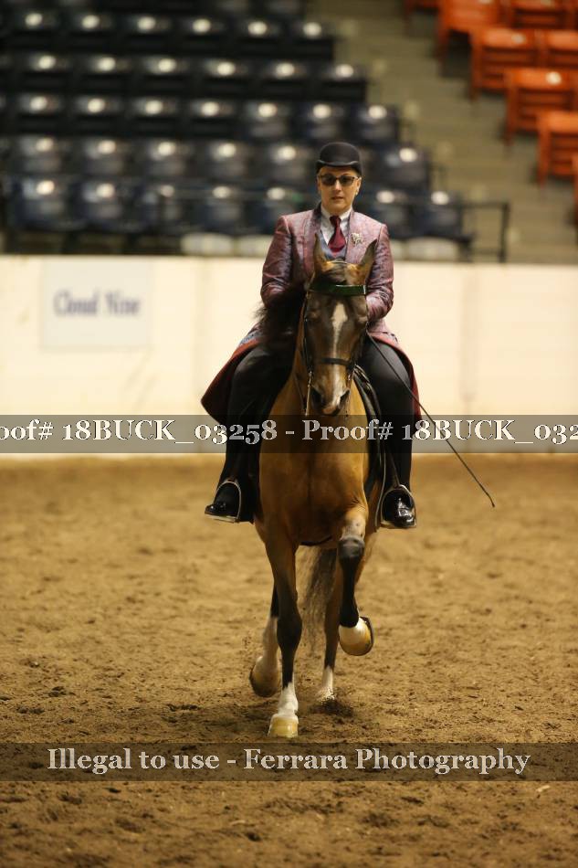 Proof 18BUCK_03258