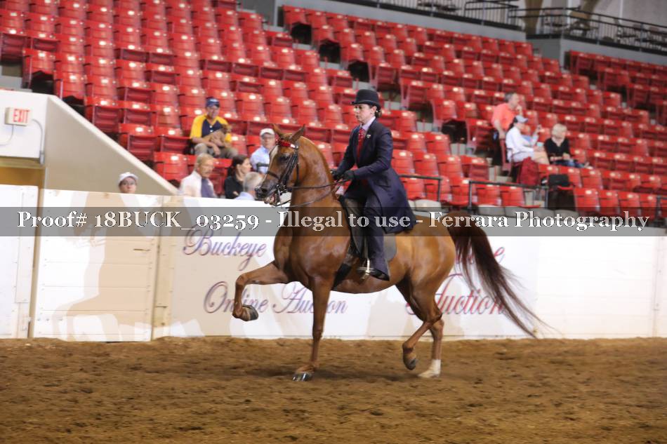 Proof 18BUCK_03259