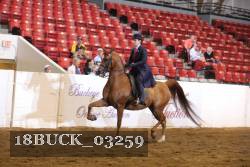 18BUCK_03259 proof