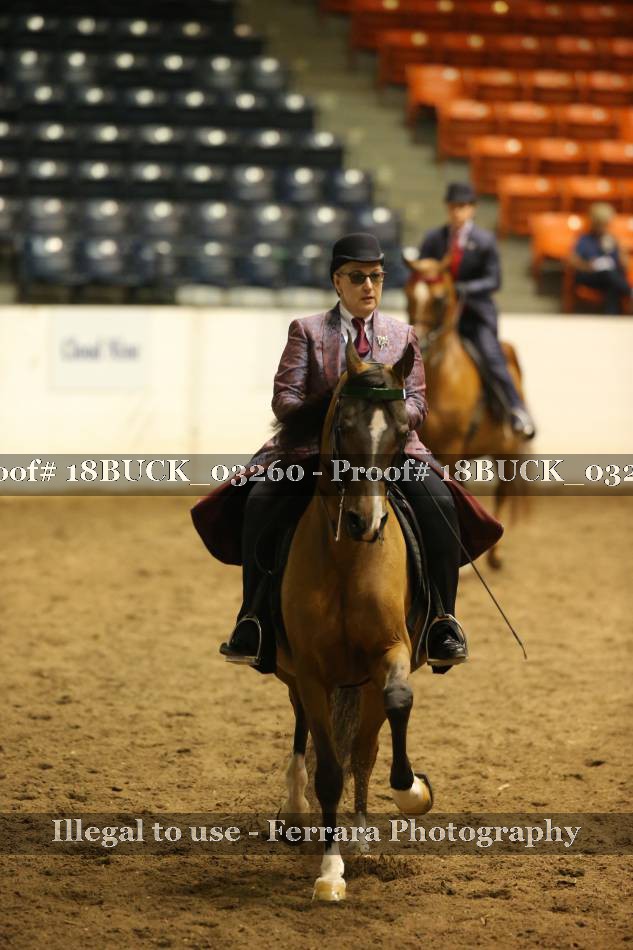 Proof 18BUCK_03260