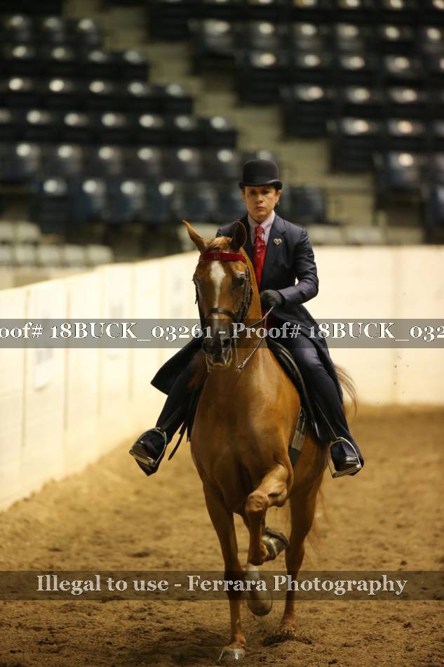 Proof 18BUCK_03261