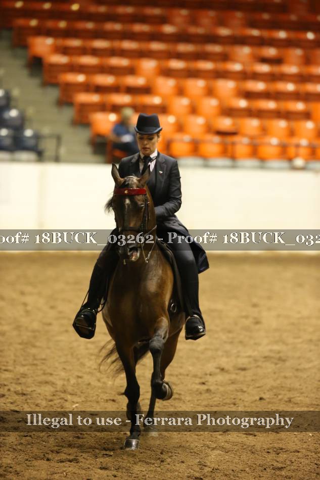 Proof 18BUCK_03262