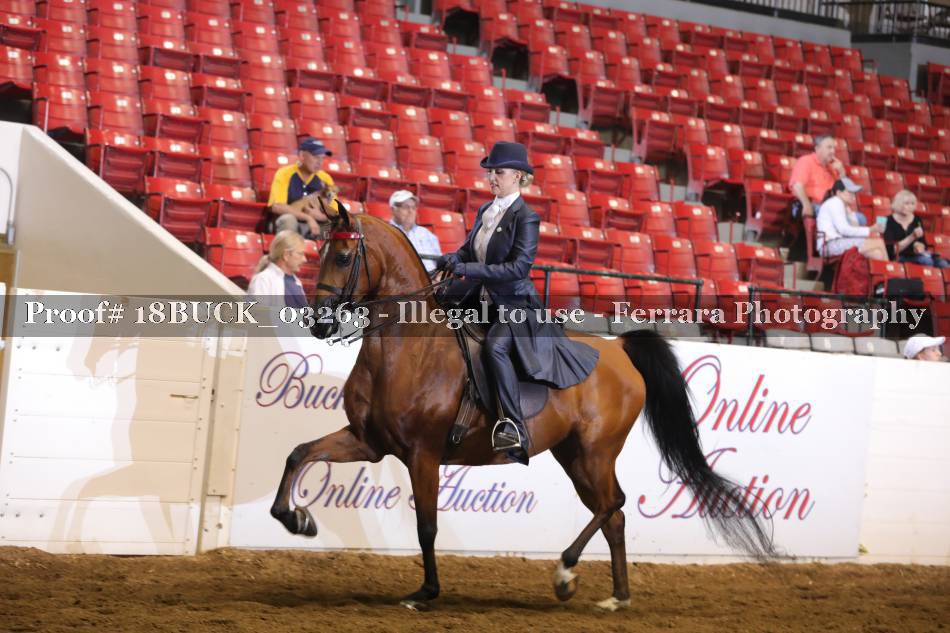 Proof 18BUCK_03263