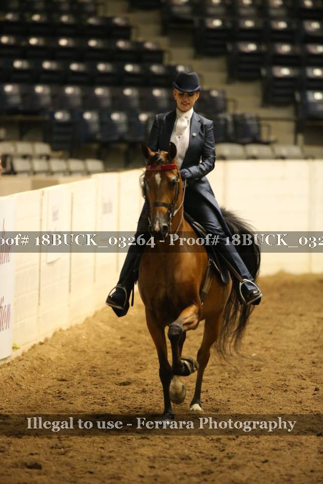 Proof 18BUCK_03264
