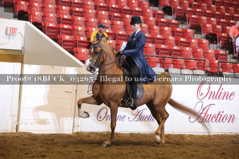 Proof 18BUCK_03265