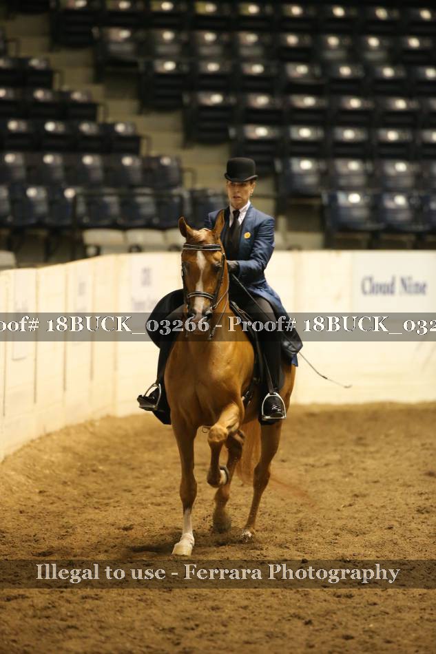 Proof 18BUCK_03266