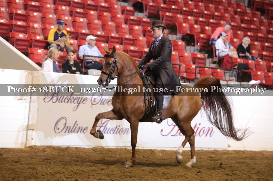 Proof 18BUCK_03267