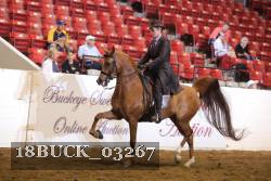 18BUCK_03267 proof