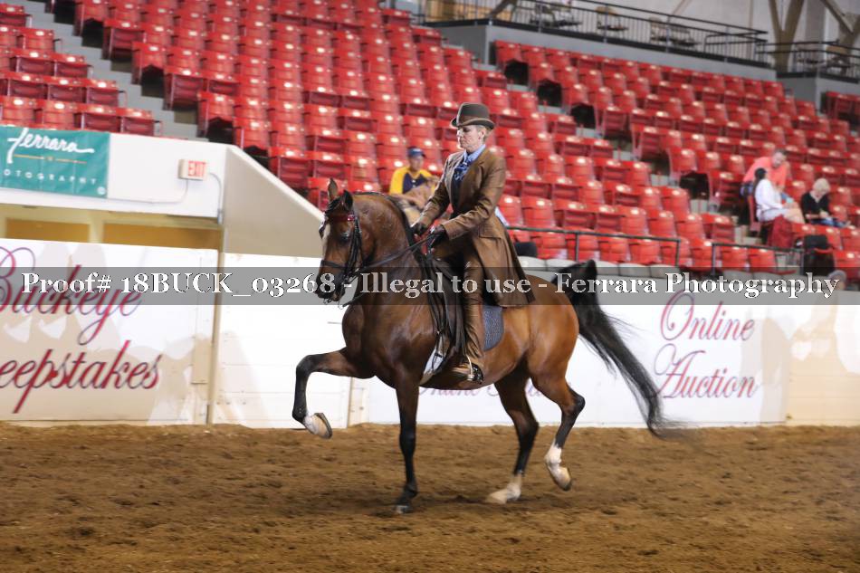 Proof 18BUCK_03268