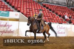 18BUCK_03268 proof