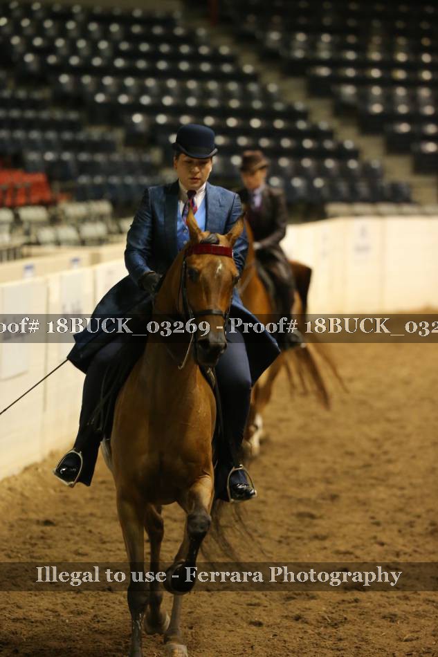 Proof 18BUCK_03269