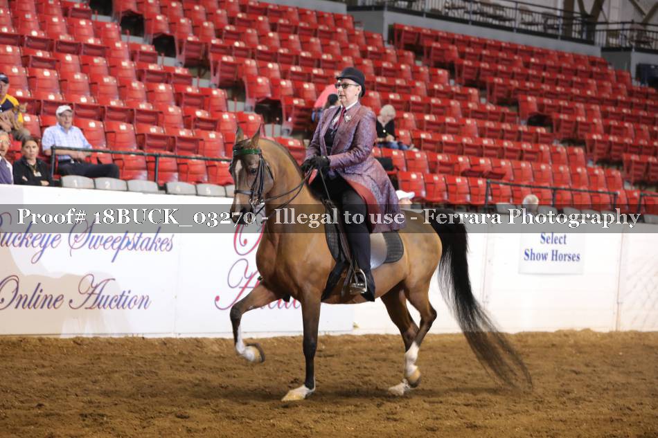 Proof 18BUCK_03270