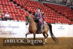 18BUCK_03270 proof