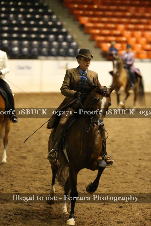 Proof 18BUCK_03271