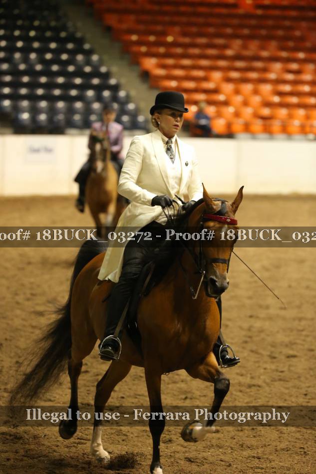 Proof 18BUCK_03272