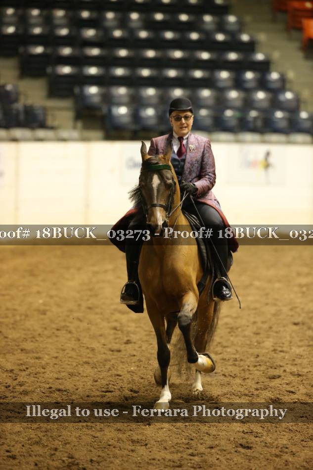 Proof 18BUCK_03273