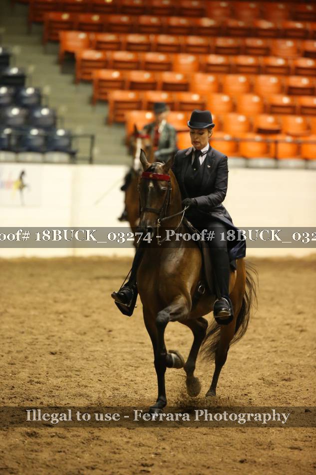 Proof 18BUCK_03274