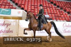 18BUCK_03275 proof