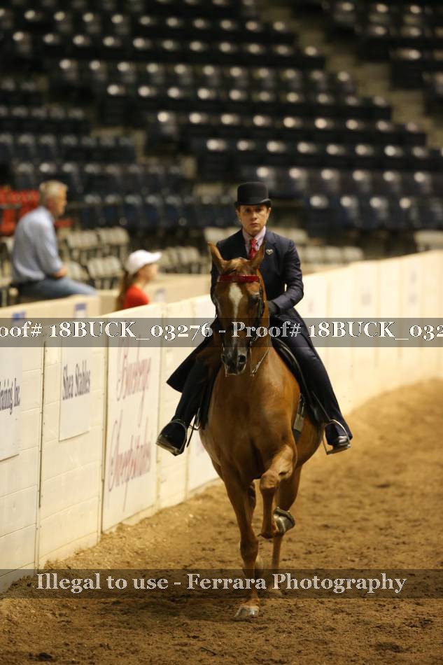 Proof 18BUCK_03276