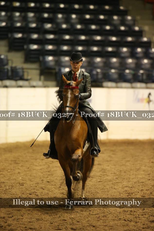 Proof 18BUCK_03277