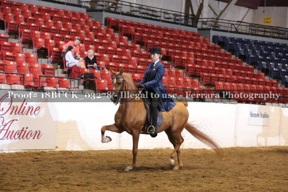 Proof 18BUCK_03278