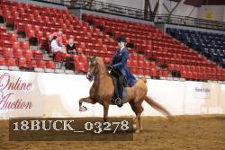 18BUCK_03278 proof