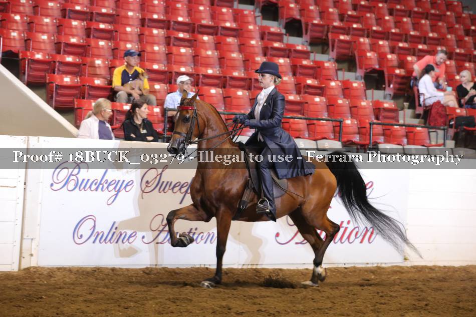 Proof 18BUCK_03279