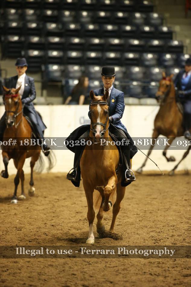 Proof 18BUCK_03280