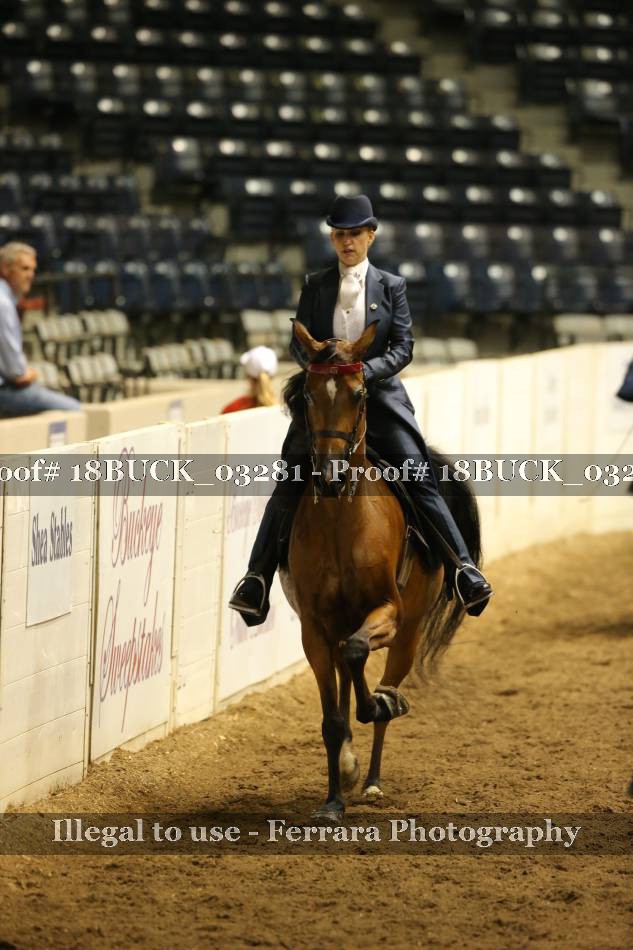 Proof 18BUCK_03281
