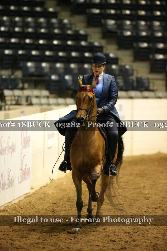 Proof 18BUCK_03282