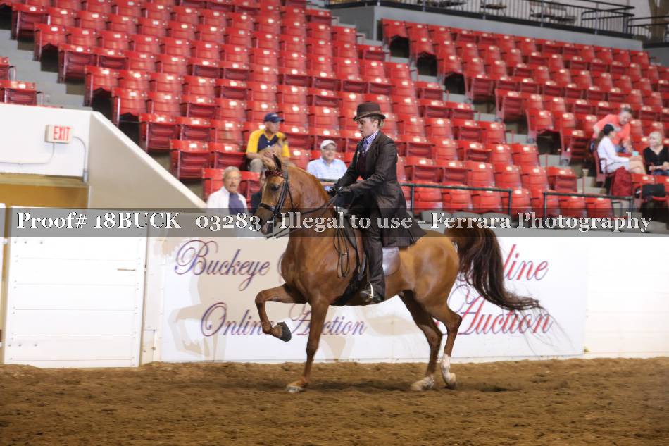 Proof 18BUCK_03283