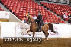 18BUCK_03283 proof