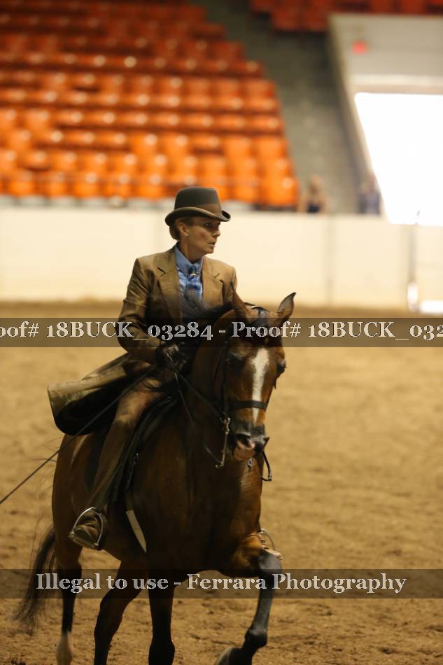 Proof 18BUCK_03284