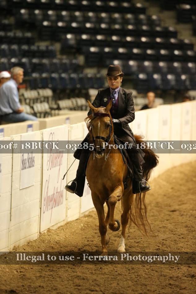 Proof 18BUCK_03285