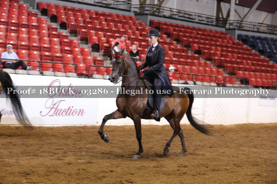 Proof 18BUCK_03286