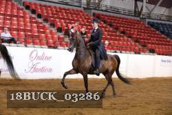 18BUCK_03286 proof