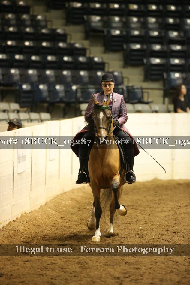 Proof 18BUCK_03287