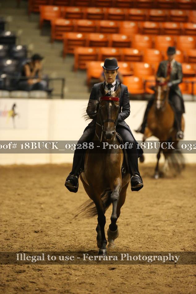 Proof 18BUCK_03288